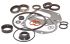 Gearcase Seal Kit, Early