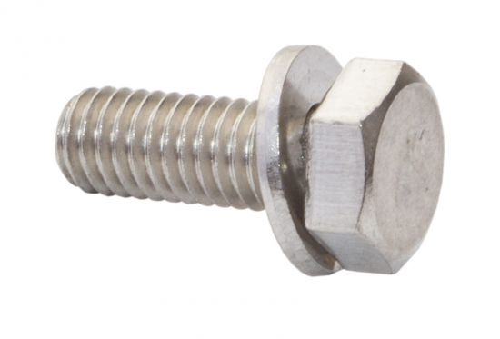 Screw