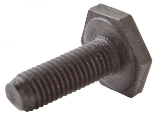 Screw