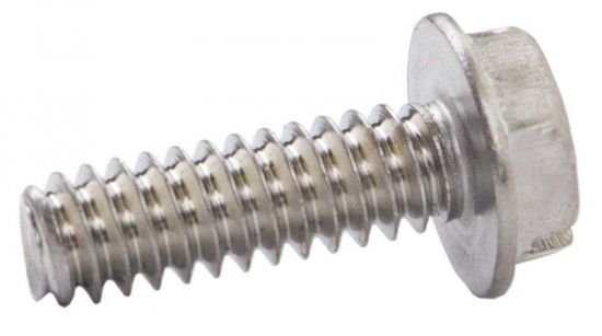 Screw