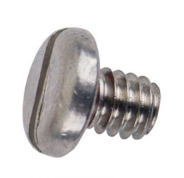 Screw