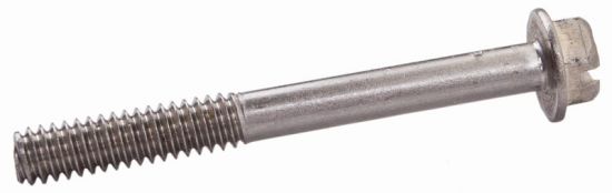 Screw